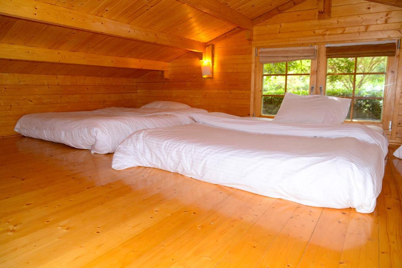 Severine Cottages And Lounge Ltd نيروبي المظهر الخارجي الصورة